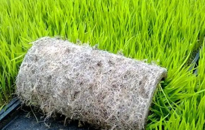 Disposable agricultural supplies materials